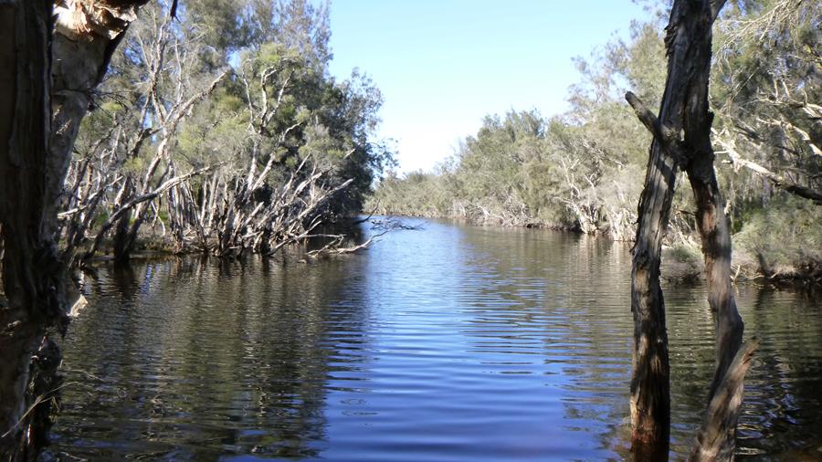 Martup Rest Area & Woodanilling Pool